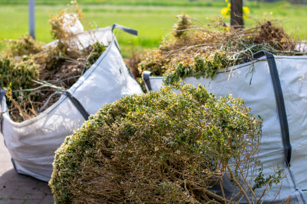 Best Yard Cleanup Services  in Coto De Za, CA